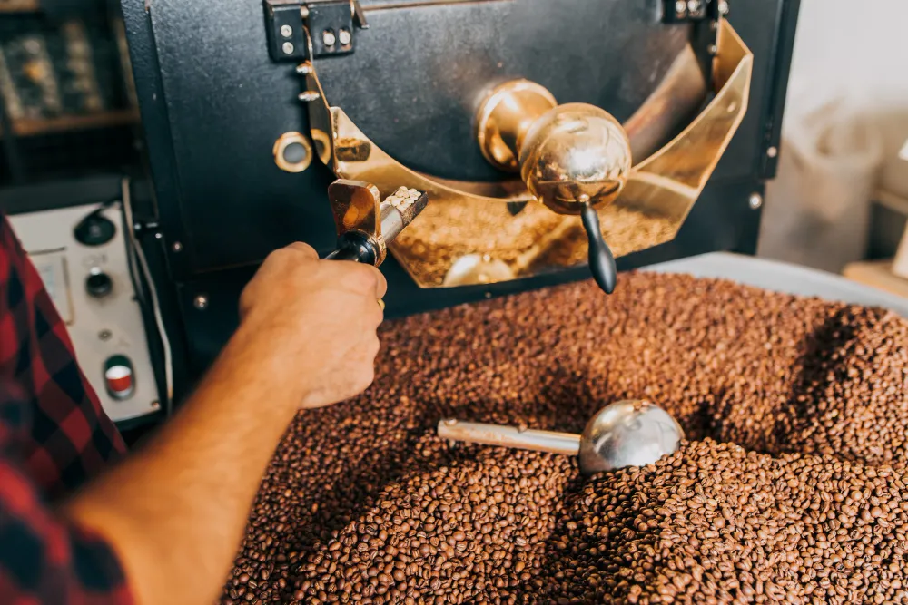 The Art of Crafting the Perfect Coffee: A Journey from Bean to Brew