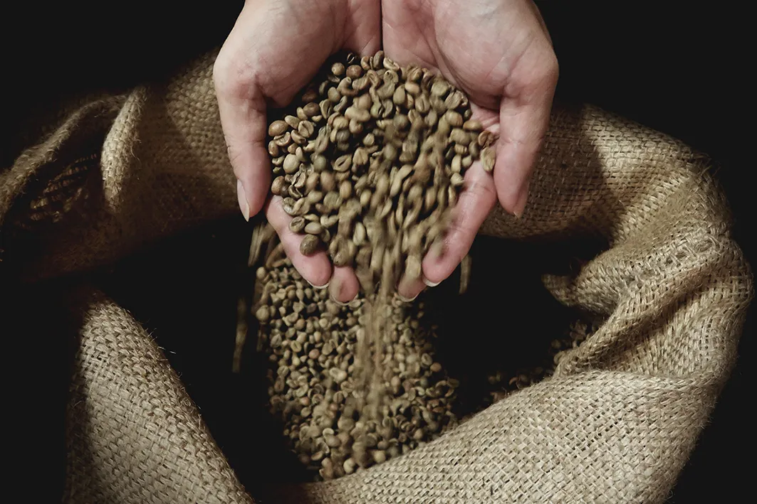 Why Specialty Coffee Beans Are Worth the Investment